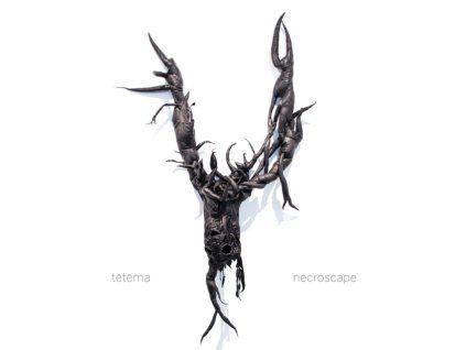 4105460 te te ma necroscape lp