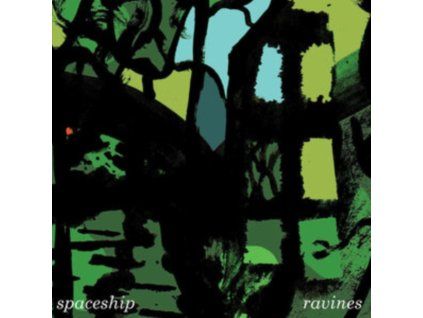 4105508 spaceship ravines lp