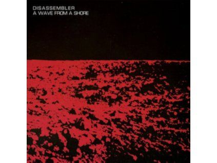 4105520 disassembler a wave from a shore lp