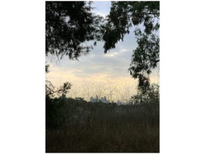 JON PORRAS - Arroyo (LP)