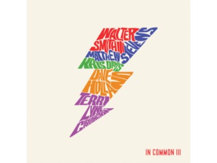 WALTER SMITH III AND MATTHEW STEVENS - In Common III (LP)