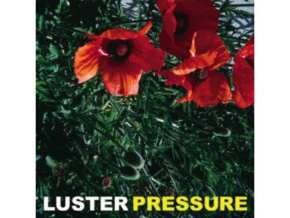 4107095 luster pressure lp