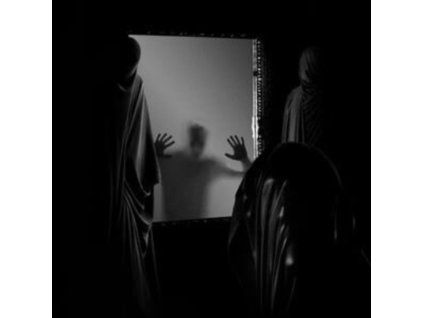 4107224 aeviterne the ailing facade lp