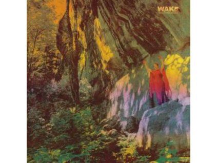 4108343 wake thought form descent lp