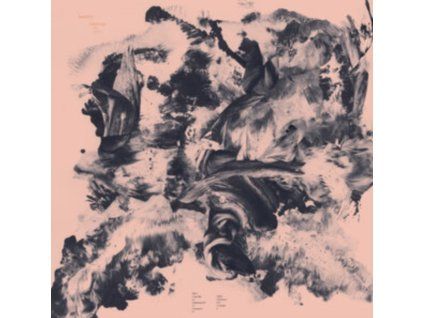 4109048 barnett coloccia third wilderness lp