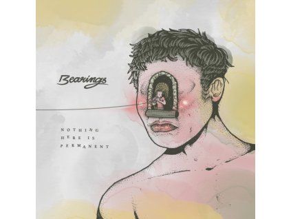 4109453 bearings nothing here is permanent lp