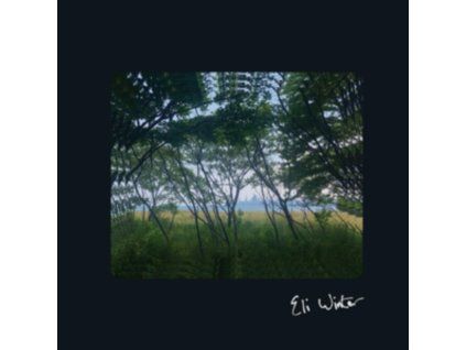 4109957 eli winter eli winter lp