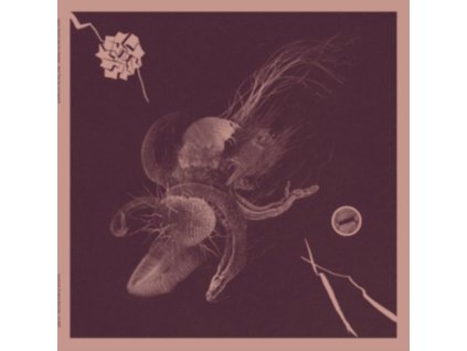 AARON TURNER & JON MUELLER - Now That Youve Found It (LP)