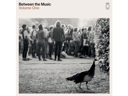 VARIOUS ARTISTS - End Of The Road Presents: Between The Music (LP)