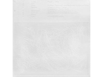 POPP - Blizz (LP)