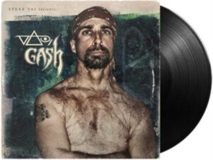 4112582 steve vai vai gash lp