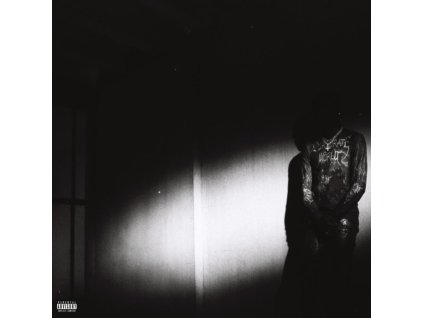 DESTROY LONELY - No Stylist (LP)