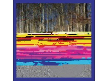 DANIEL BACHMAN - Almanac Behind (LP)