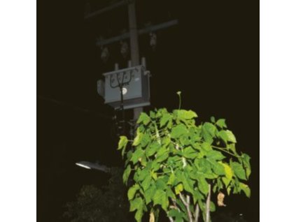 GIUSEPPE LELASI - Down On Darkened Meetings (LP)