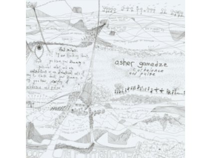 ASHER GAMEDZE - Turbulence & Pulse (LP)