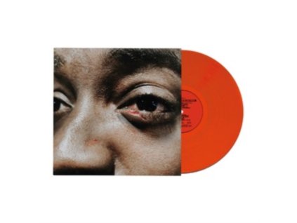 GUVNA B - The Village Is On Fire (LP)