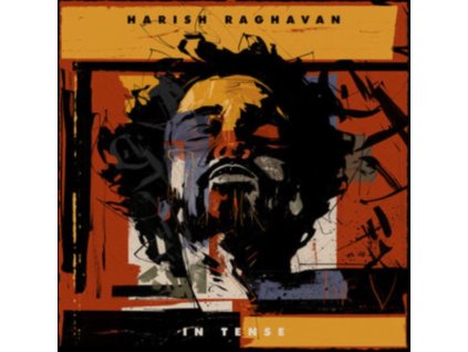 HARISH RAGHAVAN - In Tense (LP)