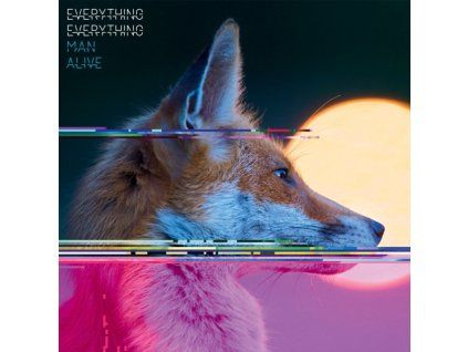 4118369 everything everything man alive lp