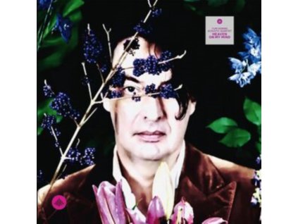 YURI HONING ACOUSTIC QUARTET - Heaven On My Mind (LP)
