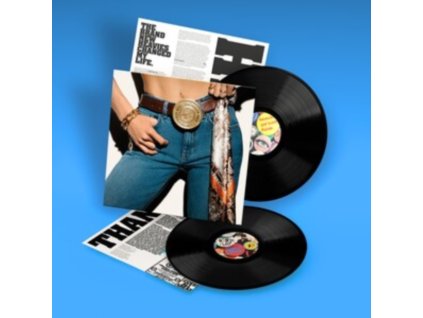 BRAND NEW HEAVIES - Never Stop... The Best Of (LP)