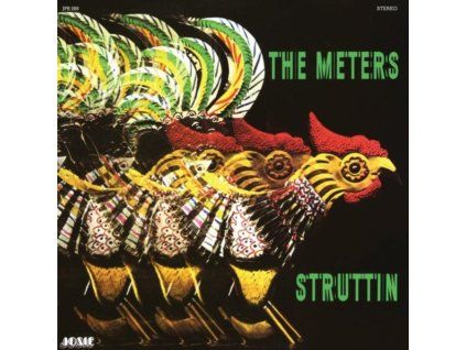 4119176 meters struttin lp