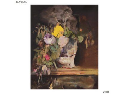 4119836 gavial vor lp