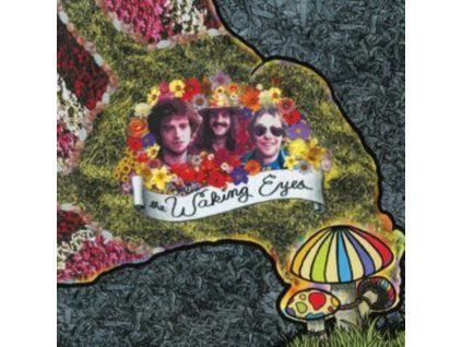 4121045 waking eyes combing the cloud lp