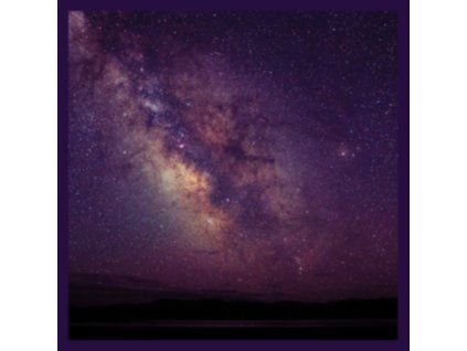 4121951 liz metta introspection lp