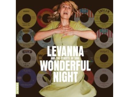 VARIOUS ARTISTS - Wonderful Night Curated By Levanna (LP)