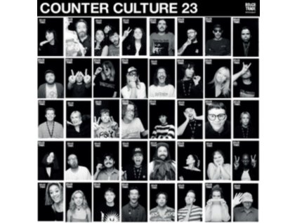 VARIOUS ARTISTS - Rough Trade Counter Culture 2023 (LP)