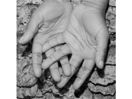 4122995 kokoroko could we be more remixes lp