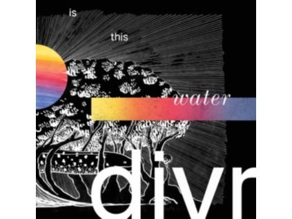 DIVR - Is This Water (LP)