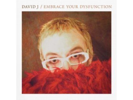 4123955 david j embrace your dysfunction lp