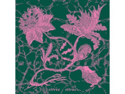 4128005 citron citron mareeternelle lp