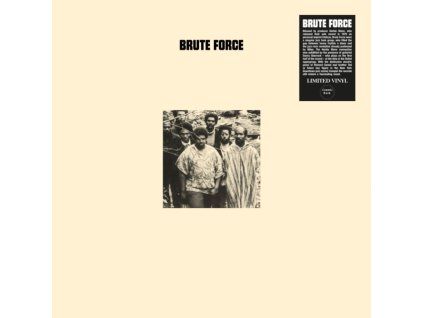 4128560 brute force brute force lp