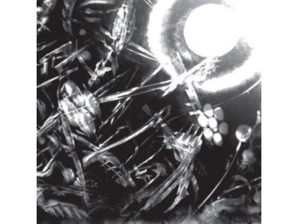 4129064 bug machines lp