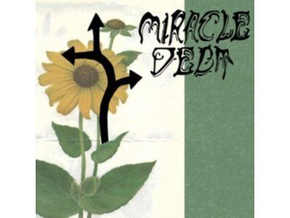 4129817 miracle debt under the shadow lp