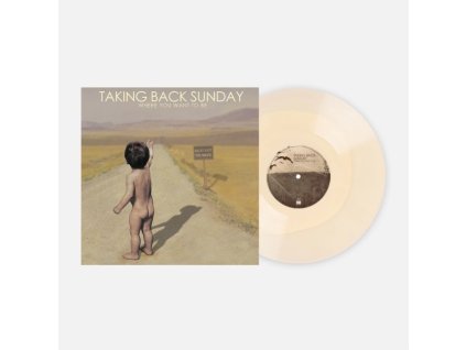 TAKING BACK SUNDAY - Where You Want To Be (LP)