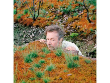 4131965 fabiola the mushroom type lp