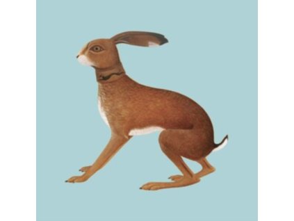 VASHTI BUNYAN - Lookaftering - Expanded Edition (LP)