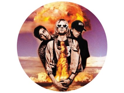 NIRVANA - Hollywood Rock Festival 1993 (Picture Disc) (LP)