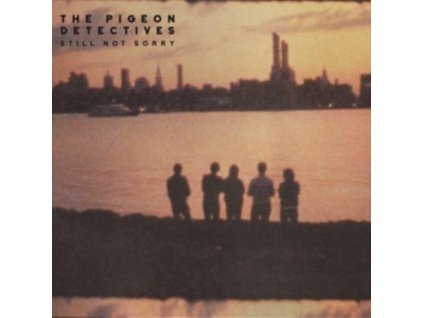 PIGEON DETECTIVES - Still Not Sorry (LP)