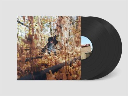 4135745 billy woods golliwog lp