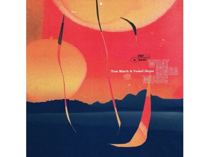 Tom Misch & Yussef Dayes - What Kinda Music (180g) (LP)