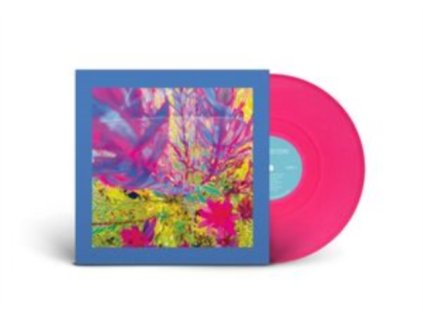 REDS PINKS AND PURPLES - The Past Is A Garden I Never Fed (LP)