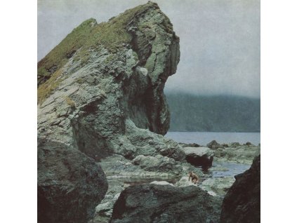 Motorama - Many Nights (LP)