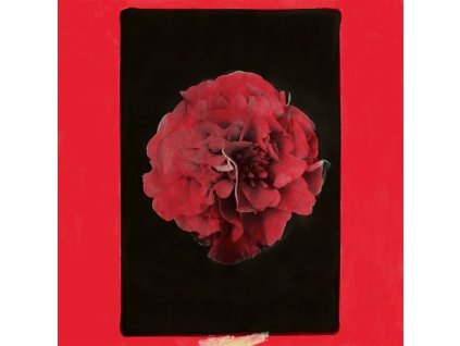 Activity - A Thousand Years In Another Way (LP)