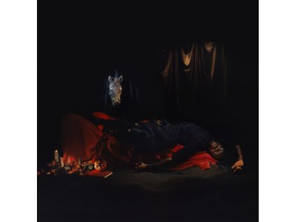 Ghostpoet - I Grow Tired But Dare Not Fall Asleep (LP)