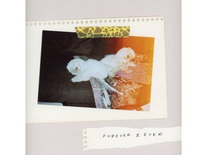 4140251 sales forever ever lp