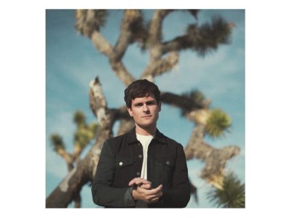 Tom Speight - Everything's Waiting For You (LP)